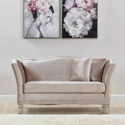 Elegant 2-Seater Velvet Sofa Unique Design with Plush Comfort for Modern Living Spaces