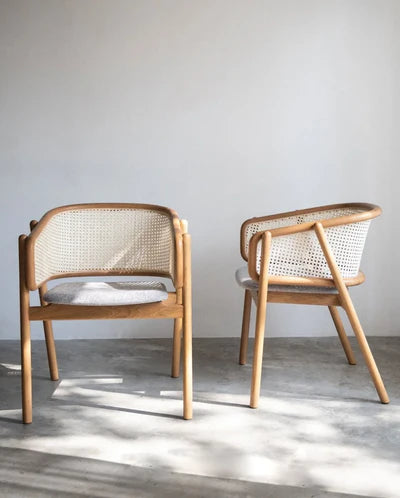 Lounge Chair for Home Furniture with Wooden Frame Base and High Durable Build for Home