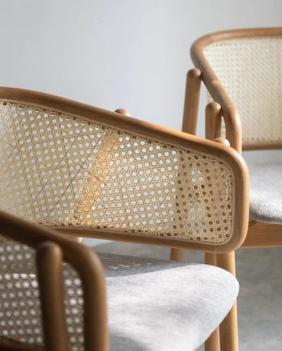 Lounge Chair for Home Furniture with Wooden Frame Base and High Durable Build for Home