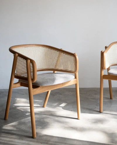 Lounge Chair for Home Furniture with Wooden Frame Base and High Durable Build for Home