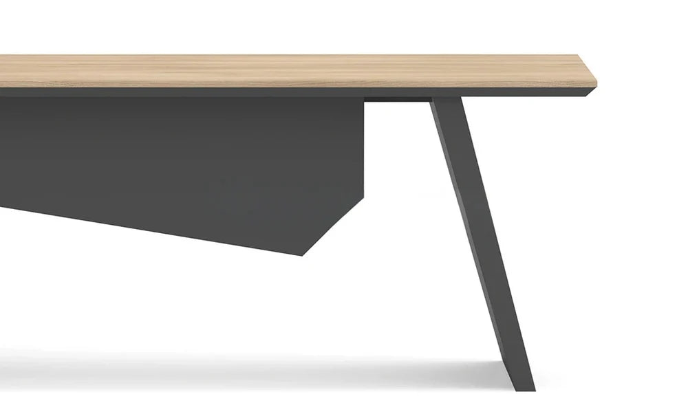 Director L-Shape Table Luxury Modern Office Desk CPU Storage Space