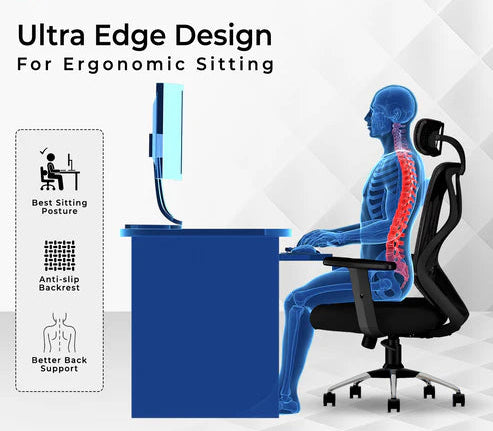 C190 Berlin Ergonomic Mesh Executive Office & Home Chair