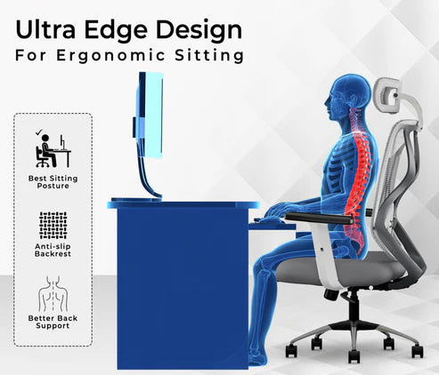 C190 Berlin Ergonomic Mesh Executive Office & Home Chair