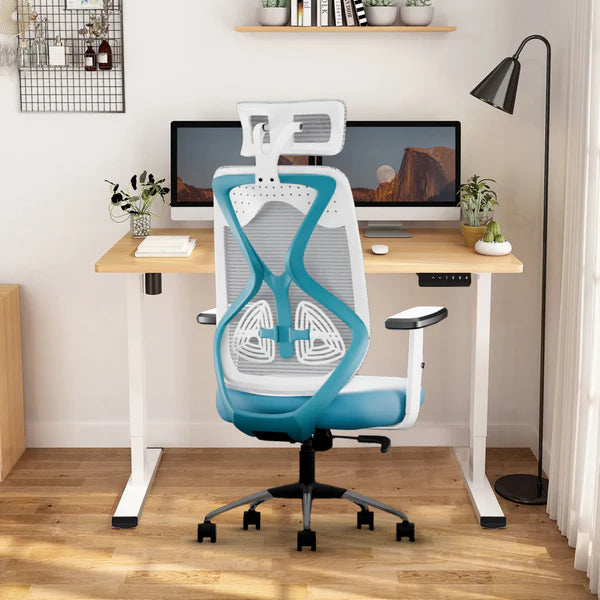 C190 Berlin Ergonomic Mesh Executive Office & Home Chair