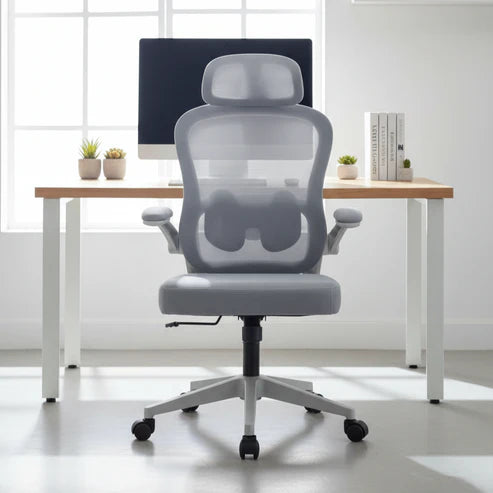 ZSwift Luxury Chair)