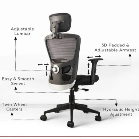 Leo C110  Mesh Executive Office Chair