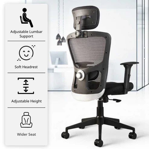 Leo C110  Mesh Executive Office Chair